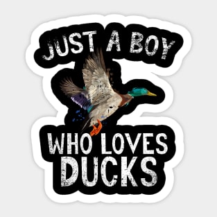 Just A Boy Who Loves Ducks Sticker